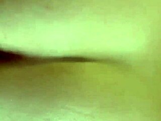 Amateur wife gives a blowjob