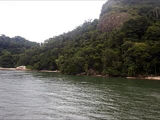 Seven Men Engage in Orgy at High Sea