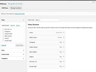 learn how to earn money on your tube site easily