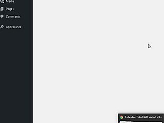 learn how to earn money on your tube site easily