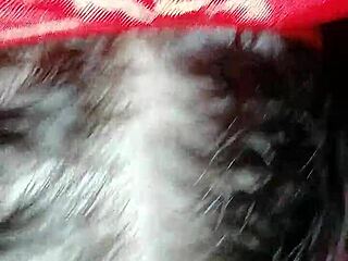 ब्यूटीफुल ब्रूनेट बॉयफ्रेंड के बिग ब्लैक कॉक को सक्स करती है