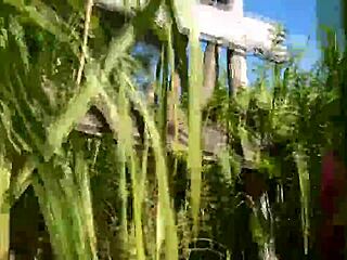 bruna black bangs guys on beach making joy cardozo cuckold