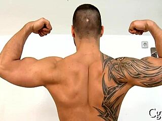 homosexual sex in nature's garb