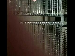 Straight Recruit Seduced By Military Man