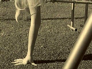 My Secret Life Top Twenty Vintage Swingers Adventures