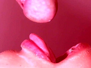 Little Slut Sucks Cock And Cums In Mouth! Short Sex Story That Will Make You Cum In Seconds!