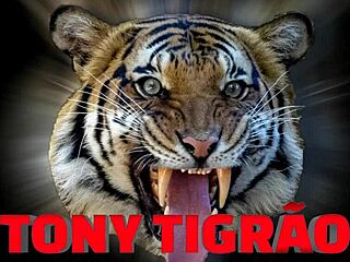 check the full video of sexy sophie stephan debuting with style on red.