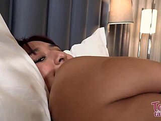 Babysitter vanessa vox intensely dicked by seth brogan in lingerie on bed