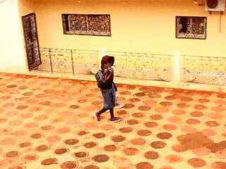 ये दो टूरिस्ट पार्क में क्रॉस पाथ करते हैं अनएक्सप्लोरड एडवेंचर्स और मेमोरेबल मोमेंट्स के लिए.