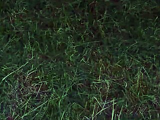 0 PUSSY - PAYING THE HANDYMAN WITH MY ASS AND SQUIRT FROM ASS FUCK