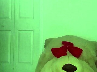 taking turns stretching like scorpio zodiac animal spider similar to cancers crab with toy bear 2