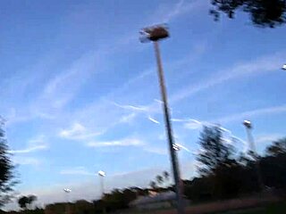 mandy waters gets aroused and has rough sex with me at home for video