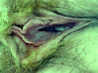 blonde dayna vendetta fucks busty siri pornstar hard!