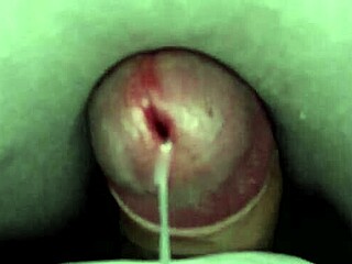 Rubbing Cock To Cum Under Sheets