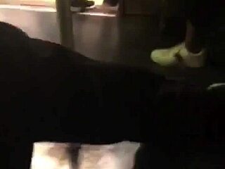 big ass girl gets groped on train