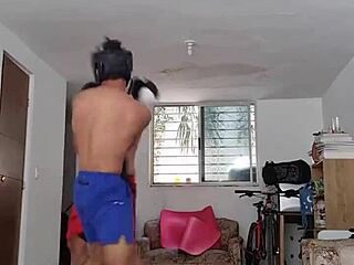 do you want to see me boxing or wrestling in training?