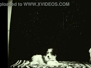 Dark Lantern Entertainment presents Beauty and the Beast!