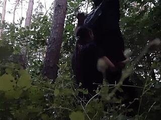 I fuck my stepsister deep in the mouth outdoors in the forest passionately