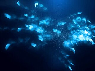 beauty girl gets intense doggystyle fuck in bathroom mirror until she cums hard