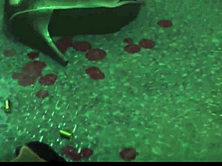 Zombie ada riding monster cock