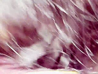 i'm cheating on husband with boyfriend in car sex as cute brunette indian housewife with dirty talk