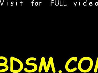 Shocking Prod Torments Bound Chick's Meatballs And Shaved Twat In Rough Hardcore Fucking Session