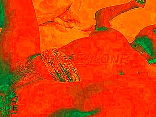 Romantic Sex Scene in Cozy Room with Red Lights Big Ass Blowjob Doggystyle